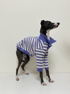 Camiseta Polo a Rayas <span class=keywords><strong>de</strong></span> Algodón Puro para Primavera, Otoño e Invierno, Ropa para Perros <span class=keywords><strong>de</strong></span> Alta Elasticidad, para Galgos Pequeños, Whippets y Bedlington Terrier - Product Image 3