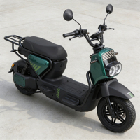 Bicicleta Eléctrica Económica de 1000w 48v con Pedales, Scooter Eléctrico, Bicicleta Eléctrica