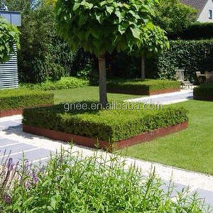 Lit de jardin surélevé en acier <span class=keywords><strong>Corten</strong></span> pour bord de <span class=keywords><strong>jardinière</strong></span> de légumes - Product Image 2