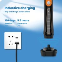 Nuevo Cepillo de Dientes Eléctrico Inteligente Sónico IPX7 2026 con Motor de Levitación Magnética, 5 Modos, Plegable, Carga Inalámbrica, 180 Días de Autonomía