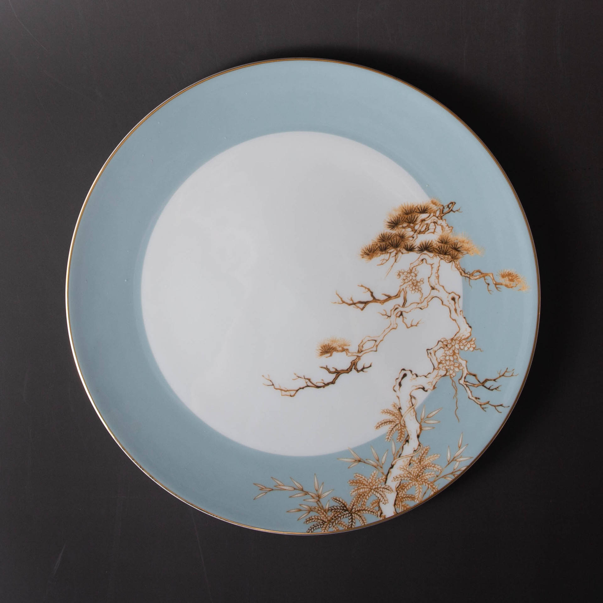 11-inch large plate