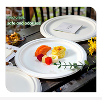 Assiettes ovales biodégradables en bagasse de canne à sucre de 9 pouces, robustes et compostables, pour fêtes et barbecues