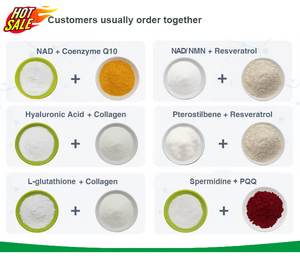 La fabbrica fornisce direttamente estratto vegetale naturale puro estratto di Sophora Japonica polvere di quercetina 95% 98% - Product Image 3