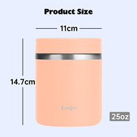 Récipient de nourriture en acier inoxydable enduit de bouche large de pots de nourriture isolés à double paroi portatifs