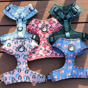 Arnés para Perro Personalizado OEM/ODM, Accesorios para Mascotas, Acolchado Suave, Poliéster con Estampado, Conjunto de Arnés para Perro / Harnais Pour Chiens - Product Image 3