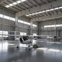 Hangar d'avion préfabriqué en acier à grande portée et abordable pour le stockage d'avions