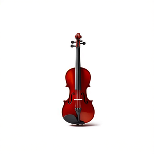 ไวโอลินนักเรียน รุ่น Ebv 1412 4/4 - Product Image 2