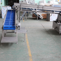 Industriële Automatische Sla Salade Verwerking Lijn Groente En Fruit Wassen Cleaning Machine