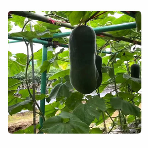 Passion Fruit Column Seedlings Fruit Tree Planting Support Rod Fiberglass Tube Stand Sunshade <b>Net</b> - Product Image 1