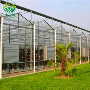 온실 정원 녹색 집 옥외 방수 식물 덮개 뒤뜰 광전지 태양 유리제 온실