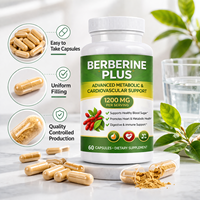Capsules de Berbérine Plus 1200mg par Portion – Soutien Glycémique – Complément Herbal – Fabricant Marque Blanche