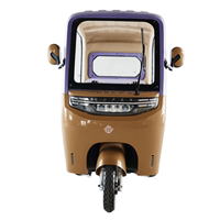 Véhicule utilitaire Fonctionnement silencieux Publicité Tir Gymnases mobiles Tricycle électrique