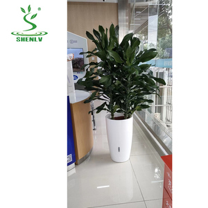 Vente en gros Offre Spéciale Pots de fleurs colorés en plastique de haute qualité, double couche, moule de jardinière d'extérieur - Product Image 3