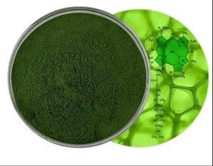 Pasokan pabrik ekstrak daun murbei kesehatan Chlorophyllin tembaga Sodium - Product Image 2