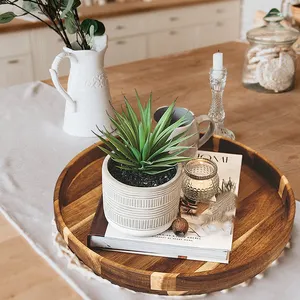 Plantas suculentas artificiales con macetas de cerámica para decoración del hogar, novedad, venta al por mayor