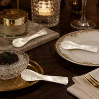Cucharas de caviar de concha natural de nácar blanco de 7 cm con logotipo personalizado, exquisitas cucharas de cocina artesanales.