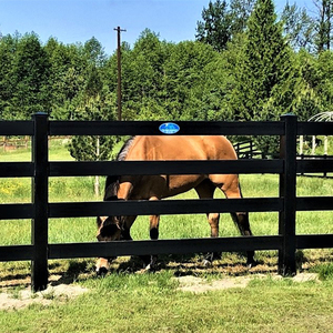 Longjie Trung Quốc Nhà Sản Xuất Bán Buôn Đen 4 Đường Ray Nhựa PVC Vinyl Trang Trại Ngoài Trời Ngựa Hàng Rào - Product Image 3