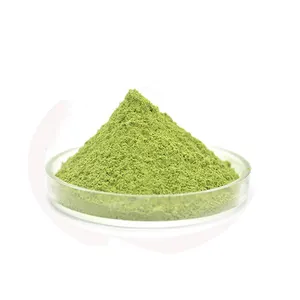 Hoge Kwaliteit Matcha Poeder Gewichtsverlies Organische Groene Thee Extract