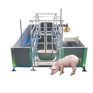 Jaulas de Paridera Tipo Europeo Duraderas con Comederos para Cerdos - Product Image 3