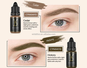 أفضل وسيلة حبر صباغ مع شعارك OEM أصباغ PMU الحواجب الشفاه الموردين - Product Image 4