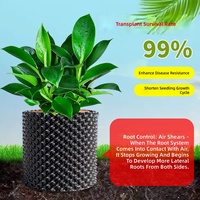 Pot Pembibitan PET Ramah Lingkungan Biodegradable Shandong dengan Lubang Drainase untuk Menyemai Bibit Tanaman, Pohon Buah, Bonsai, dan Bunga 5