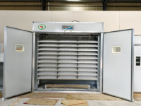 Incubateur d'œufs de poulet solaire 10000 œufs, machine d'éclosion de volaille entièrement automatique à énergie solaire