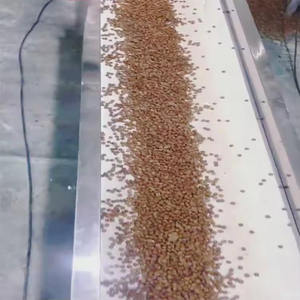 Máquina automática de comida para perros, prensa en frío saludable, máquina de aperitivos para perros, línea de producción de galletas para perros - Product Image 5