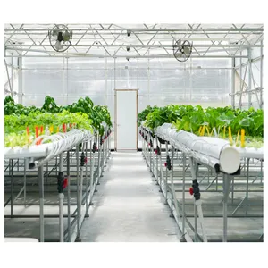 Hydroponics agricultural commercial plastic film greenhouse for lettuce/cucumber/pepper/eggplant/tomato/flowers/crops grow
