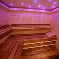 Kit de plafond LED IP65 en PMMA pour sauna, fibre optique résistante à la vapeur pour salle de spa, home cinéma, étanche, 100W 16W, garantie 5 ans
