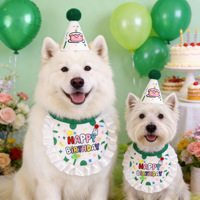 Ensemble de chapeaux d'anniversaire pour animaux de compagnie avec sangle réglable, décorations pompons, kit de costume pour photos d'anniversaire de chiots et chatons