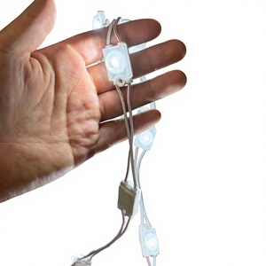 Échantillon Gratuit Module LED SMD2835 Ignifuge DC12V 0.48W IP68 Ra80 CRI Garantie 5 Ans Rétroéclairage pour Enseignes de Centres Commerciaux et Hôtels CE - Product Image 1