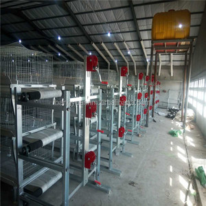 Gà Coop Gia Cầm Thiết Bị Trang Trại Gà Thịt Lồng Gà Hệ Thống Cho Ăn Tự Động - Product Image 4