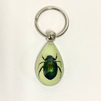 Porte-clés Scorpion Lumineux : Insecte Réel à Effet Fluorescent, Anneau en Caoutchouc Durable et Décorations en Résine Acrylique – Cadeaux