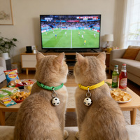 Collier pour animaux de compagnie Petop Factory 2026 – Thème sportif football mondial, perles de basketball et de football, réglable pour petits animaux