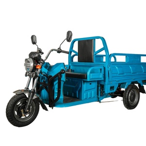 Triciclo eléctrico para adultos, ciclomotores, triciclo cubierto, autocaravana en China - Product Image 2