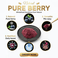 Bubuk Ekstrak Blueberry Bilberry Alami yang Diliofilisasi, Kaya Akan Antosianidin 25%