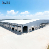 Almacén de Estructura de Acero de Gran Envergadura, Personalización de Edificios de Acero, Nave Industrial Modular con Estructura Metálica para Almacenamiento