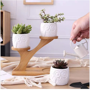 3 <b>Tier</b> Bamboo Succulent <b>Plant</b> <b>Stand</b> Desktop Display Rack Minimalist Design Indoor Use - Product Image 2
