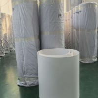Rouleau de feuille de fluoroplastique blanc industriel, matériau en plaque PTFE pour la fabrication de joints d'étanchéité et le traitement mécanique
