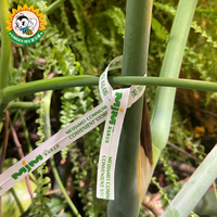 Fournisseur d'usine de Gardenbee Logo imprimé biodégradable personnalisé réglable étiquette de plante emballage de légumes fruits Tagstwist attaches torsadées