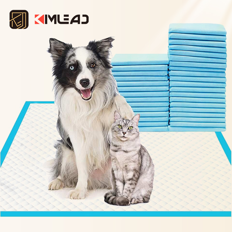 Free Sample 5 Layer Leak Proof
