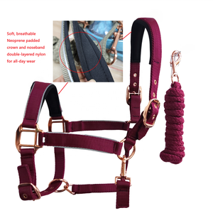 Licol Horshi avec laisse assortie pour chevaux, réfléchissant pour la sécurité, licols d'écurie pour chevaux, Flex-Webb, quincaillerie plaquée or rose - Product Image 4