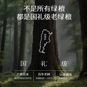 Putuo Mountain Natural Green Hetian J Juego cultural de madera para mujer Cuentas budistas Sándalo Pulsera de mano Sumergible - Product Image 3