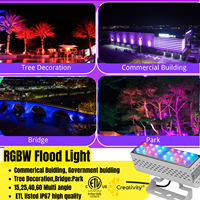 Projecteur LED extérieur moderne de haute qualité 50W, AC100-277V, sans fil, Wifi, DMX, RGBW, homologué ETL CETL