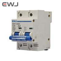 EWJ DZ47-125DC 1P 2P PV Din Rail DC 500V 600V 125A 10kA C Courbe Interrupteur Solaire Mini Disjoncteur MCB