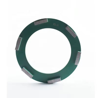 Haute qualité personnalisée 16/20 # ,30/40 # ,60/80 # ,120/150 #   Meule à segment diamanté pour béton