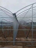 Serre cyclone IGreen serre forêt tropicale