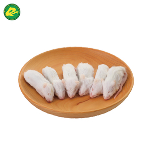 Alimentador congelado de 12-20g para ratas peludas para mascotas, serpientes, lagartos, ranas, tortugas, cocodrilos, zorros, halcones, arañas, gatos, etc. - Product Image 3