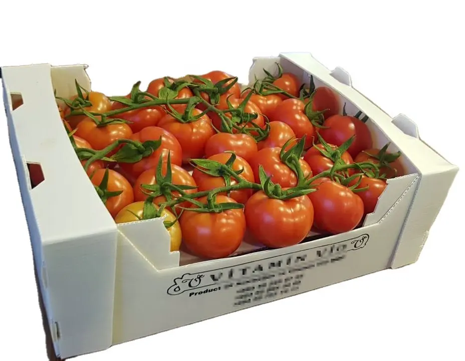 Corrugated Plastic Blueberry Cherry Crates PP Hollow Strawberry Packing Boxes