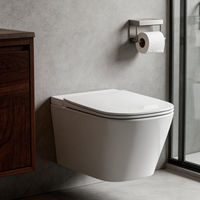 WC suspendu mural de luxe, cuvette élégante et lisse à fixation latérale avec réservoir intégré pour salle de bain d'appartement